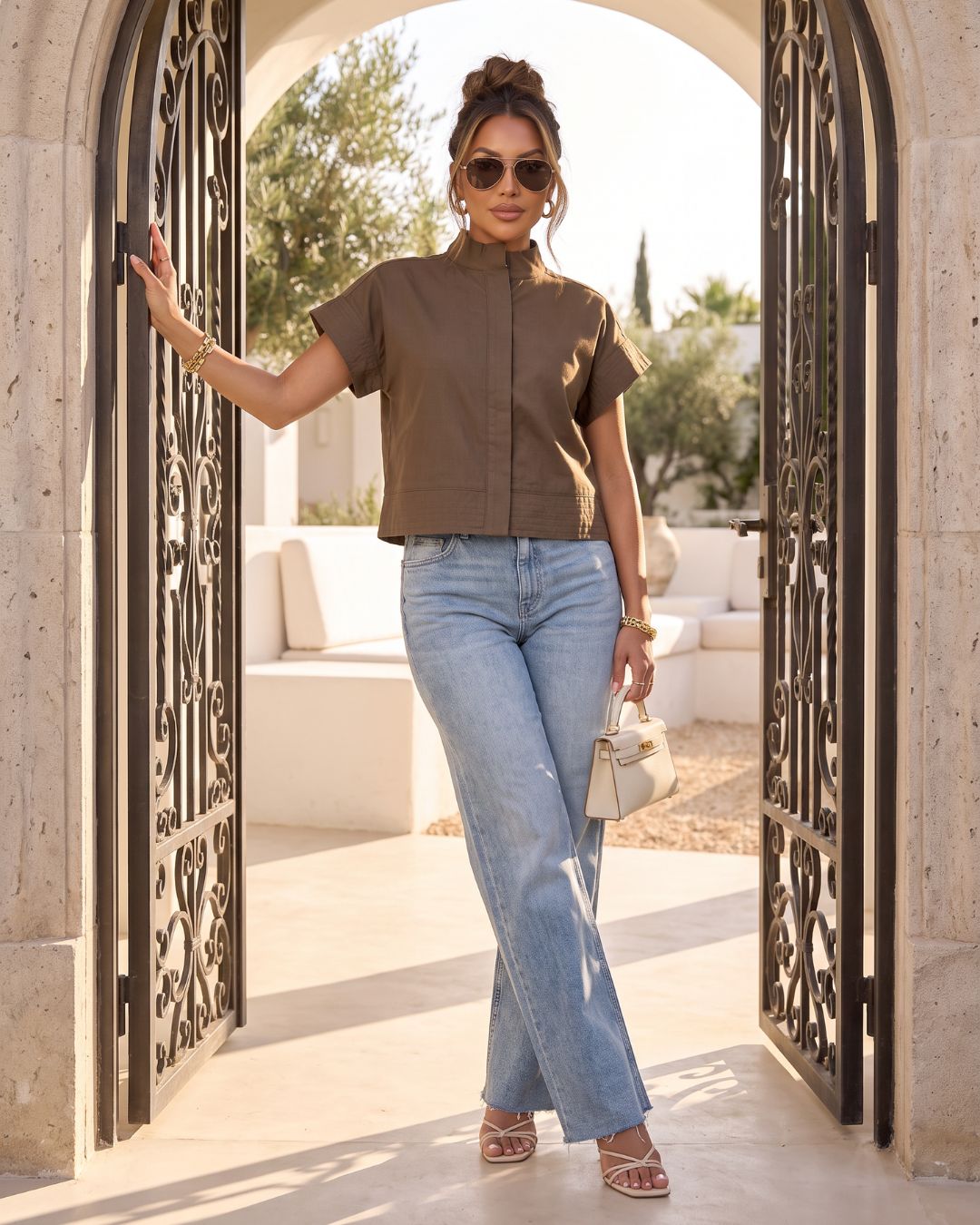 Brown Collar Short sleeve top